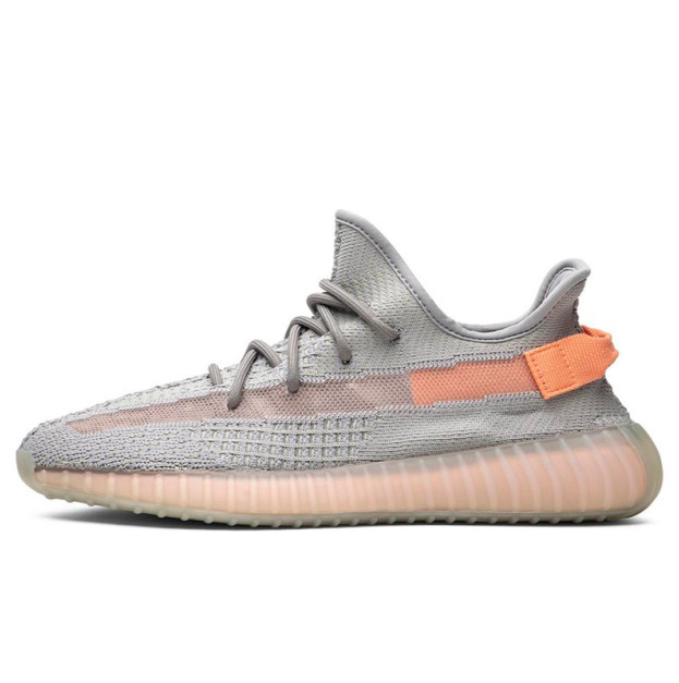 Adidas Yeezy Boost 350 V2 True Form EG7492